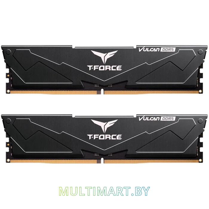 Оперативная память Team T-Force Vulcan 2x8GB DDR5 PC5-48000 (FLBD516G6000HC38ADC01)